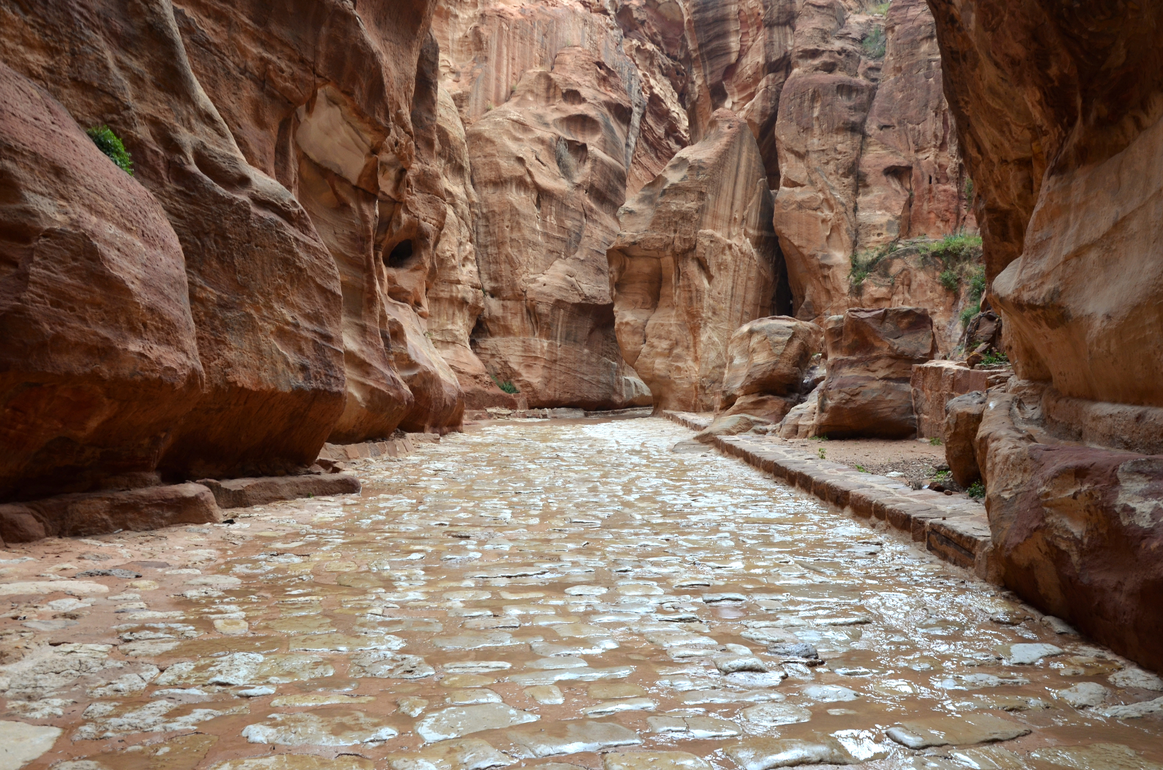 The narrow Siq gorge at Petra, with reddish sandstone walls rising above the path.